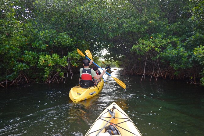 Sunset Kayak Tour in the Mangrove Lagoon, St Thomas - Key things I’d circle before you go