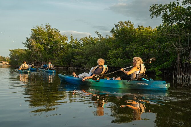 Sunset Kayak Tour in the Mangrove Lagoon, St Thomas - Why this sunset kayak tour in the Mangrove Lagoon feels special