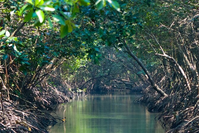 Sunset Kayak Tour in the Mangrove Lagoon, St Thomas - Food nearby at Bikinis Bar & Grill after your paddle