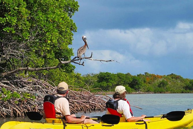 Sunset Kayak Tour in the Mangrove Lagoon, St Thomas - Where you meet, how long you’re out, and what to expect on arrival
