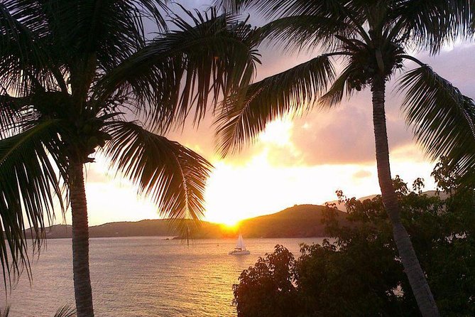 Sunset Sail with Cocktails and Appetizers - Possible drawbacks, so you don’t get surprised