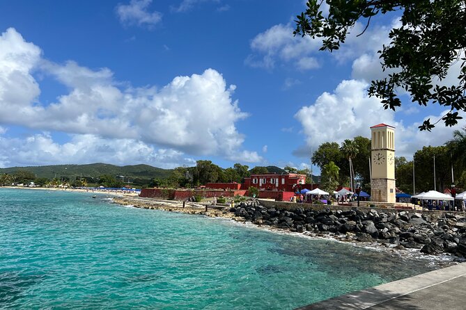 The Frederiksted St. Croix Sea Turtles Snorkeling Tour - Price and value: is $89 fair for 1 hour 15 minutes?