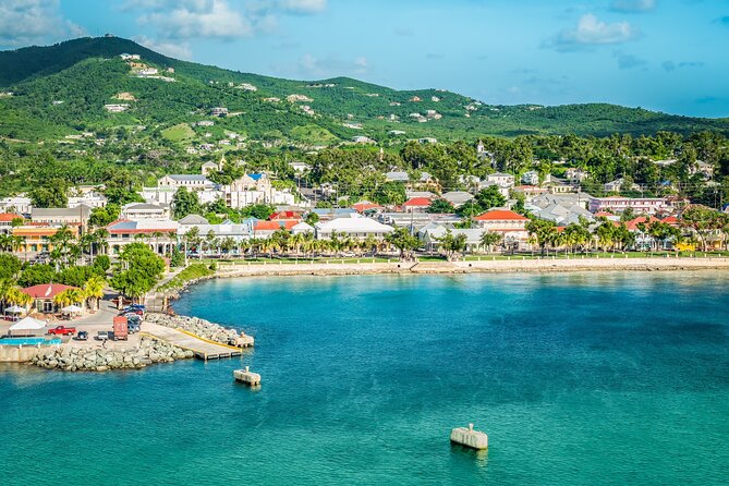 The Frederiksted St. Croix Sea Turtles Snorkeling Tour - Meeting at the right spot: how to avoid a frustrating wait