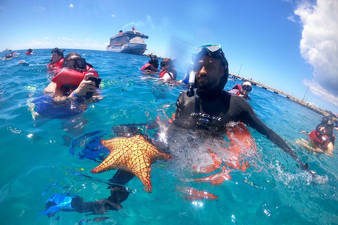 The Frederiksted St. Croix Sea Turtles Snorkeling Tour - The colorful fish you will likely see in the cove