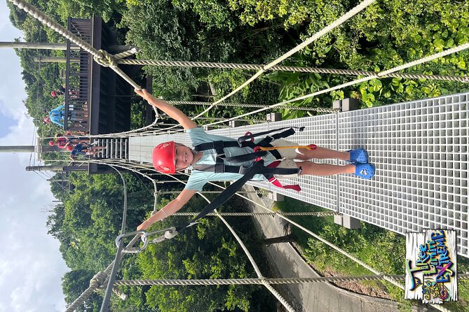 Tree Limin' Extreme Zipline - The Course Itself: 6 Zip Lines, 2 Sky Bridges, and the Yo-Yo Finale