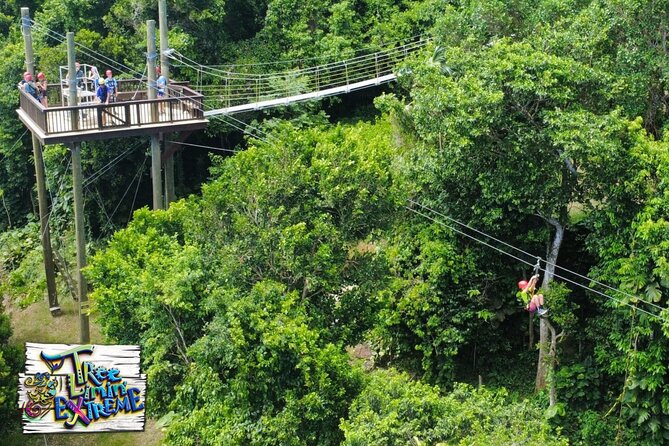 Tree Limin' Extreme Zipline - The Views and the Stories: More Than a Photo Op