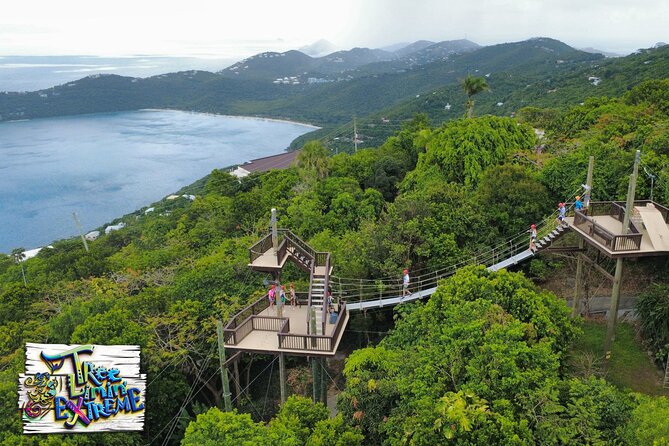 Tree Limin' Extreme Zipline - Price and Value: Is $155 Worth It?