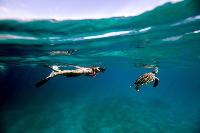 Turtle Cove Catamaran Snorkel and Sail at Little Buck Island STT - Key things that make The VI Cat stand out