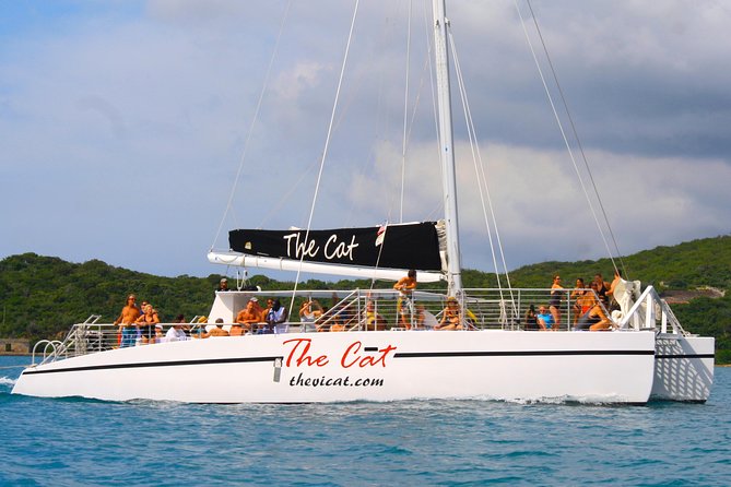 Turtle Cove Catamaran Snorkel and Sail at Little Buck Island STT - Snorkeling reality check: what you’ll likely see, plus the “varies” part