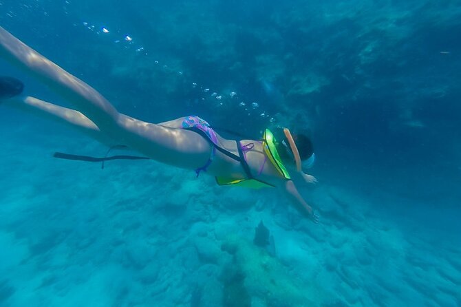 Turtle Snorkel Sail on Buck Island from Frenchman's Reef - Why This Buck Island Snorkel Sail Feels Like Two Trips in One