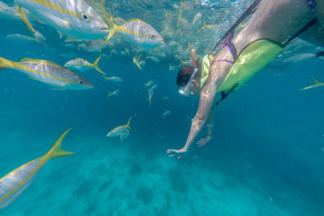 Turtle Snorkel Sail on Buck Island from Frenchman's Reef - The 10:00 am Start, Meeting Point, and Getting There Easy