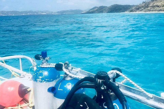 Two Tank Dive - Two-tank SCUBA on St Thomas: what makes it worth your time