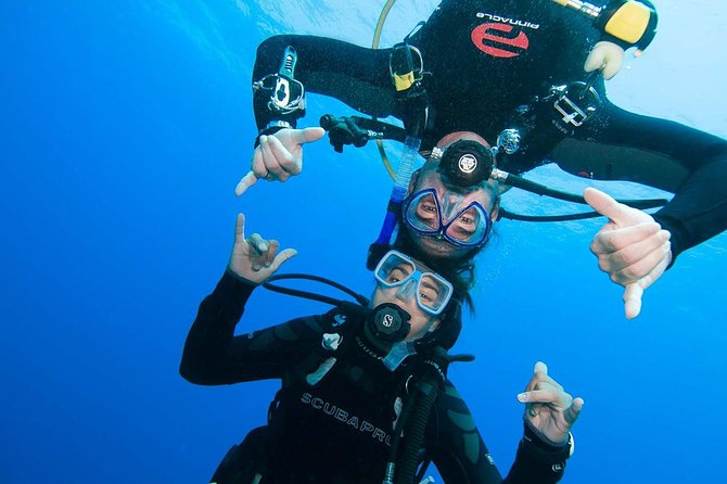 Two-Tank Dive for Certified Diving in St Thomas - Two One-Hour Underwater Sessions, Calm Pace, Real Support