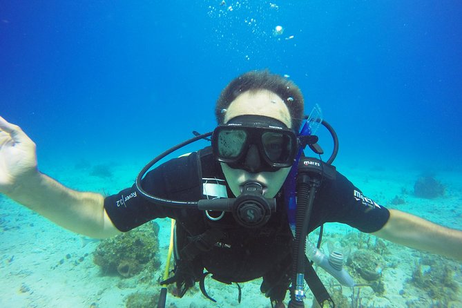Two-Tank Dive for Certified Diving in St Thomas - The Captain’s Briefing, the Boat Ride, and Giant-Stride Entry