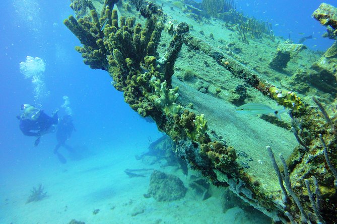 Two-Tank Dive for Certified Diving in St Thomas - Underwater Sites: Reefs, Shipwreck Areas, and St Thomas Topography