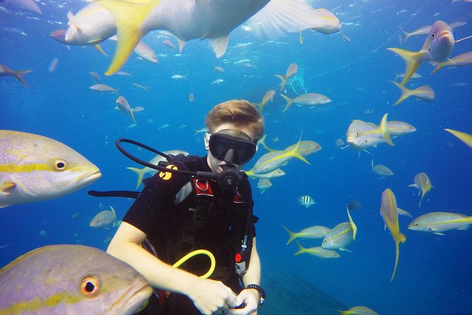 Two-Tank Dive for Certified Diving in St Thomas - Tank Two and Pirate Punch: How the Crew Handles the Finish