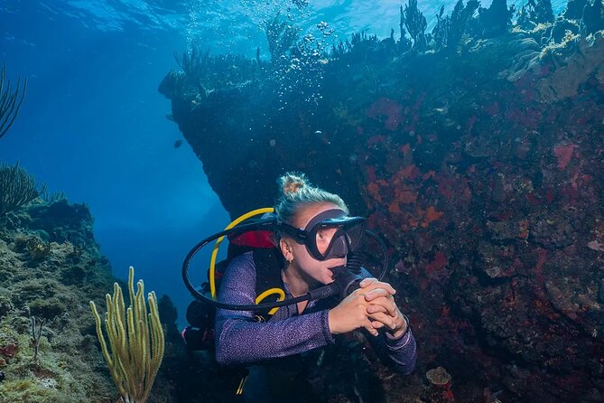 Two-Tank Morning Dive Trip for Certified Divers - Between tanks: why this window can make or break your comfort