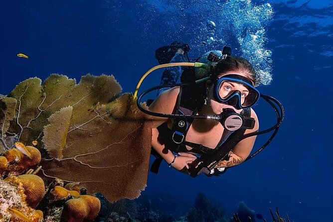 Two-Tank Morning Dive Trip for Certified Divers - Gear, water, and what you should still bring