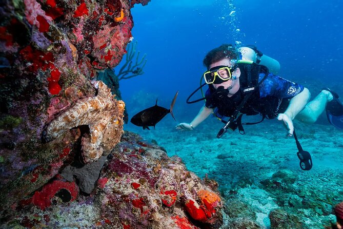Two-Tank Morning Dive Trip for Certified Divers - Boat size, group size, and why up to 17 matters for comfort