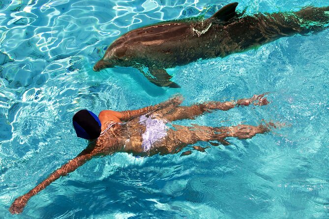 USVI Private Boat Charters - New, Fast Powerboats for Half and Full Day - Snorkeling gear, sea life odds, and what you should bring