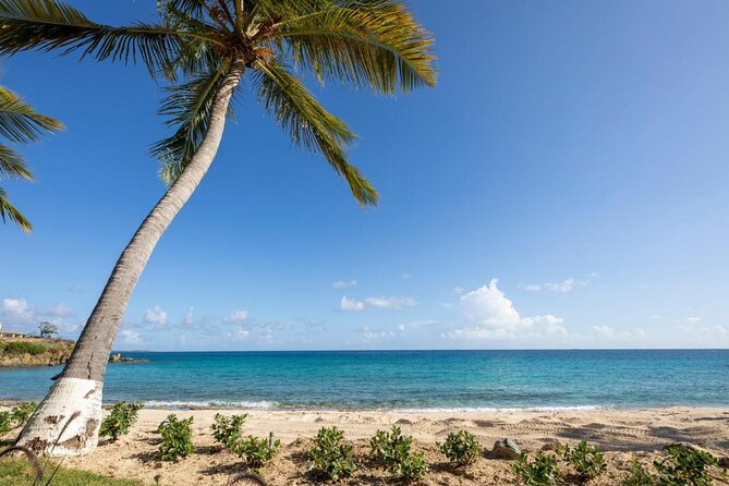 Vi Top Taxi & Tours -Airport Transfer to Bolongo Bay/ Limetree - Who this transfer is best for