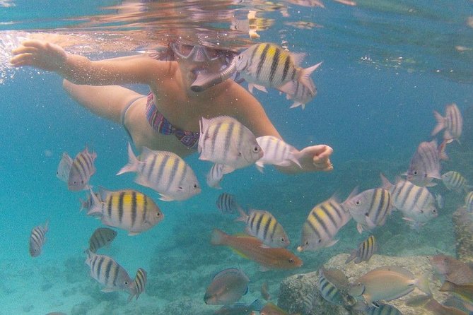 Vi Top Taxi &Tours USVI-Coki Beach Snorkeling Tour - Pickup and timing: how you keep control of your day