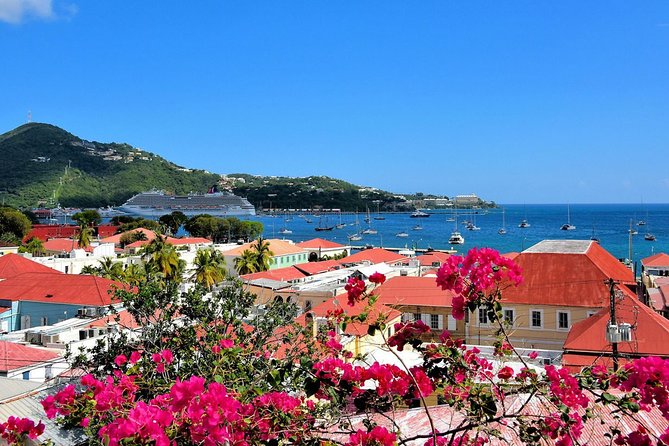 Vi Top Taxi &Tours USVI-St Thomas Private Group-Island Tour - Skyline Lookout and Magen’s Bay: how to choose optional add-ons